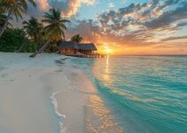 Partir aux Maldives : le guide complet pour un séjour de rêve